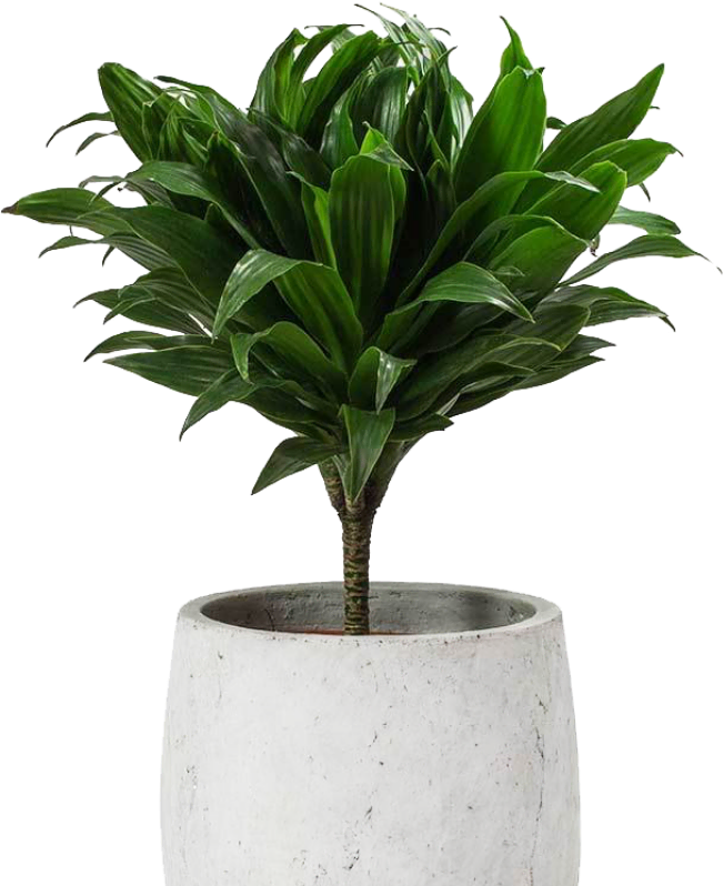 Contact 5 contact form image optimized