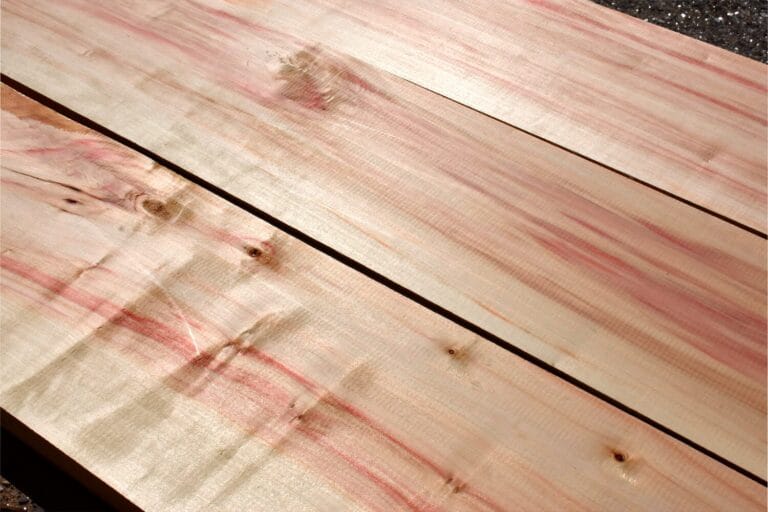 Lemnul de soc 11 lemn de soc